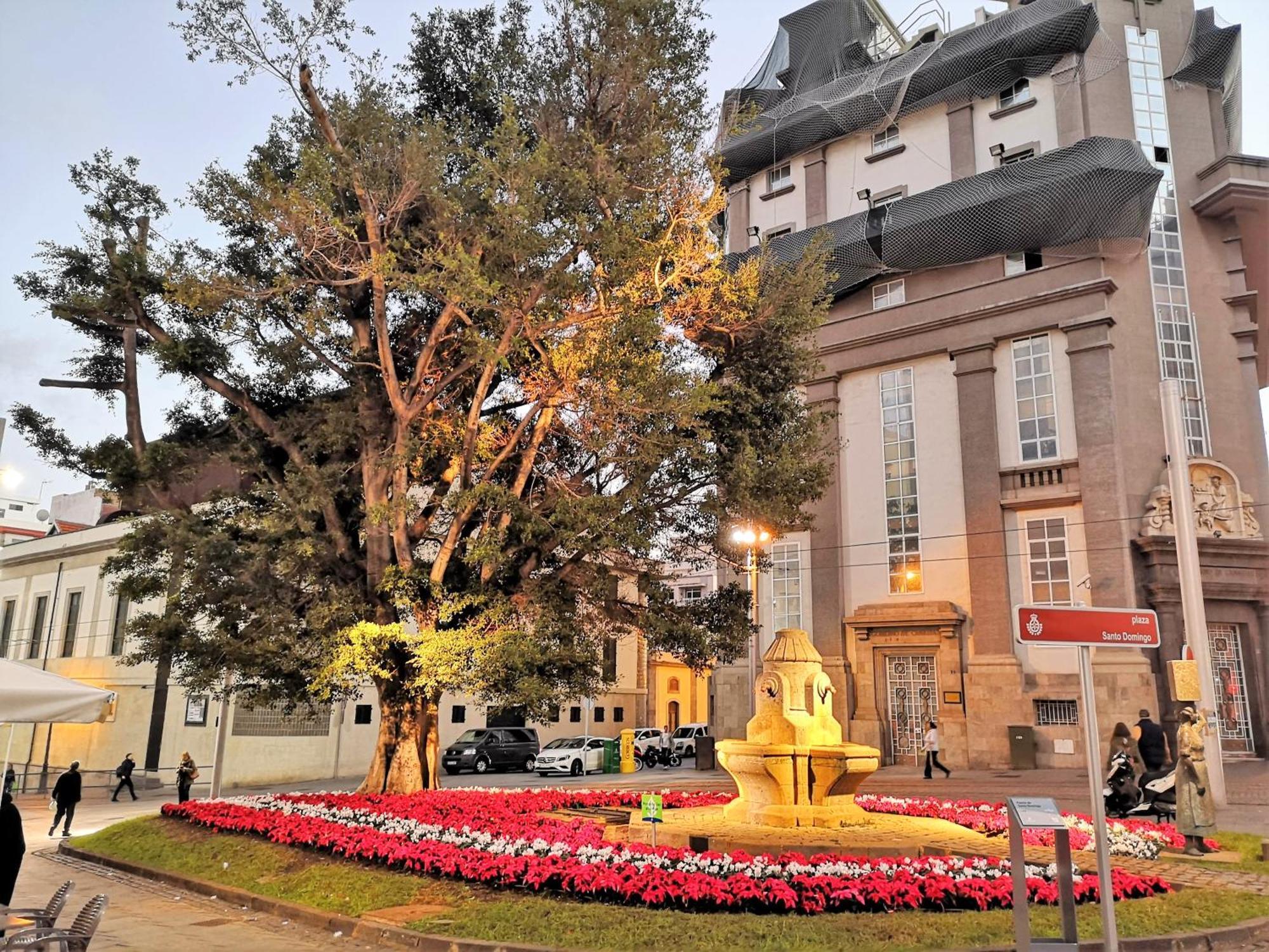 Suite Wagner サンタクルスデテネリフェ エクステリア 写真